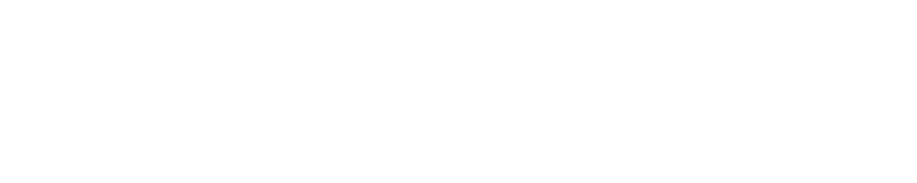 sleeveX